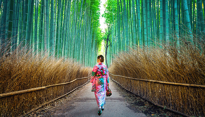Bosque de Bambú de Arashiyama