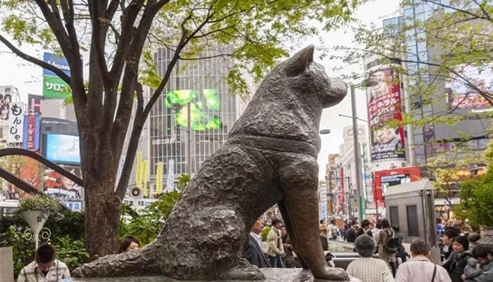 Cruce de Shibuya y estatua de Hachiko