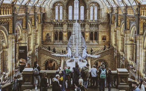 Museo de Ciencias Naturales en Londres