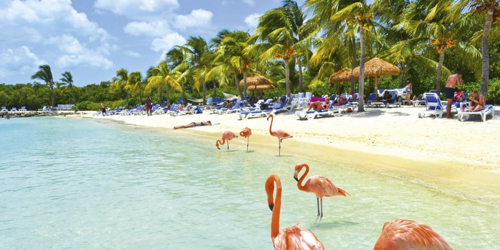 Ven a disfrutar Aruba