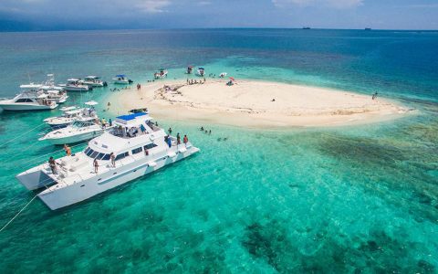 Kingston en seis días