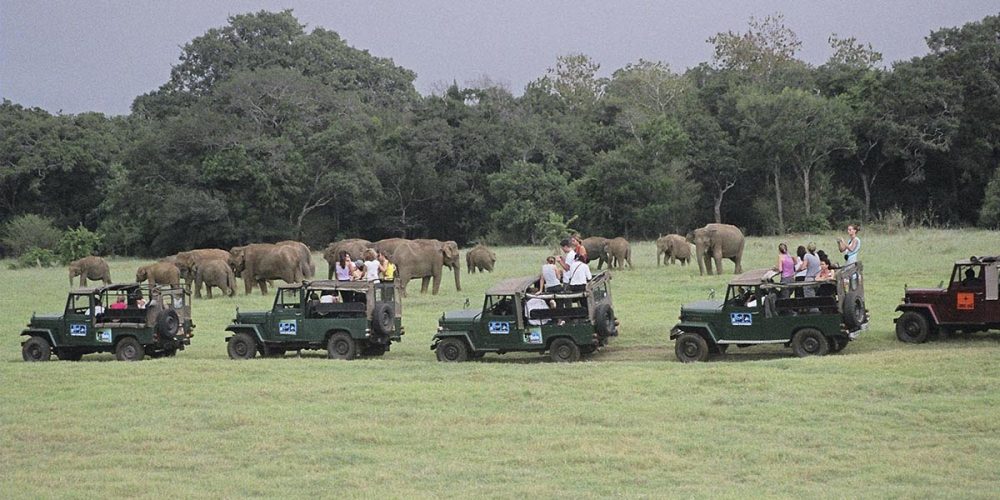Viaje de Lujo Relajado en Sri Lanka