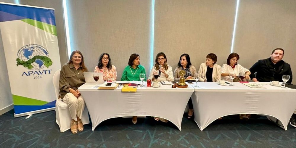 Asamblea General de APAVIT