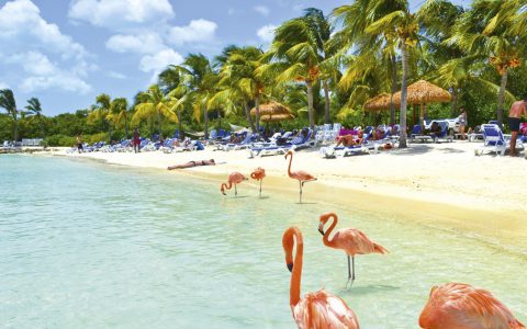 Ven a disfrutar Aruba