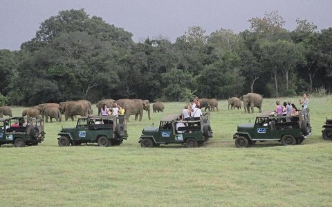 Viaje de Lujo Relajado en Sri Lanka