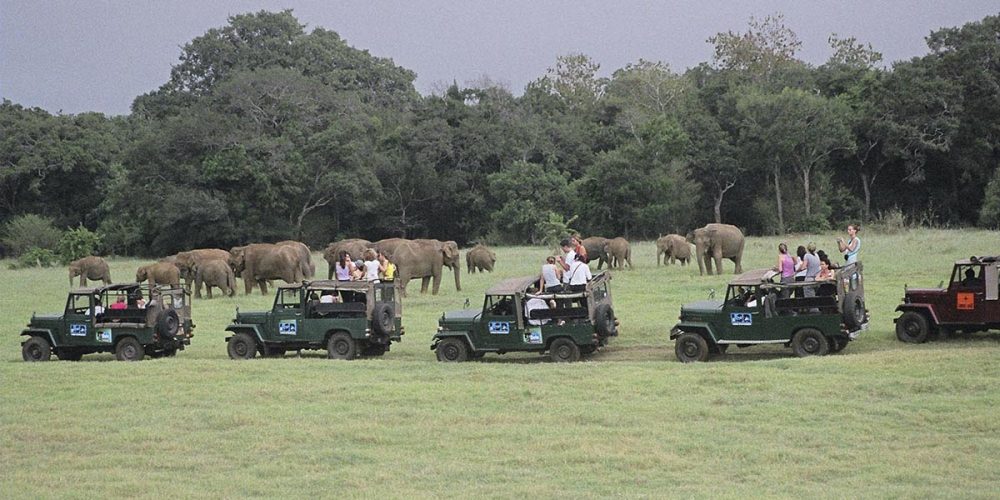 Viaje de Lujo Relajado en Sri Lanka
