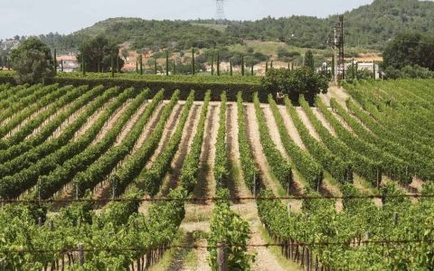 Lujo Relajado con Elegancia Egea