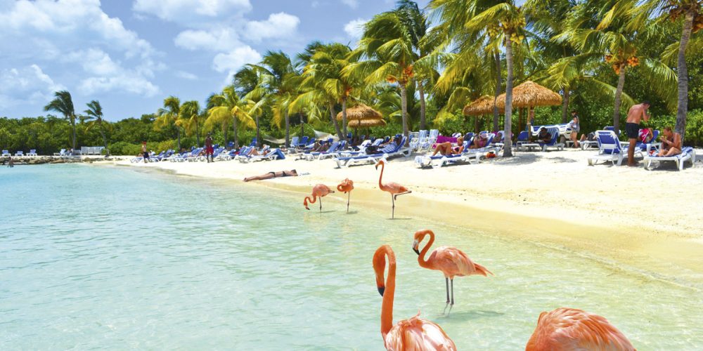 Ven a disfrutar Aruba