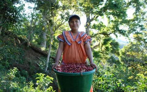 Tour del Café