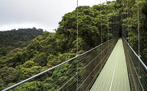 Puentes Colgantes