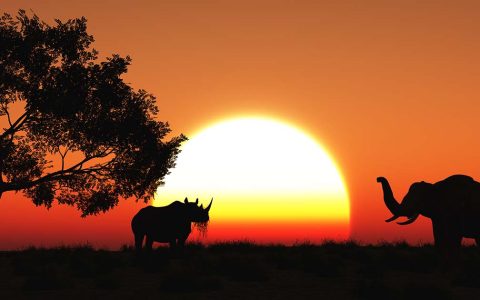 Safari en Durban