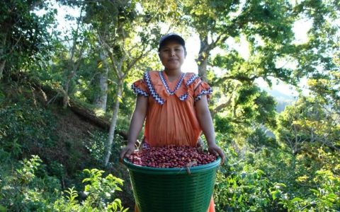 Tour del Café