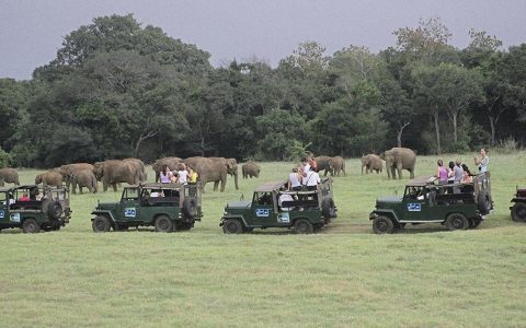 Viaje de Lujo Relajado en Sri Lanka