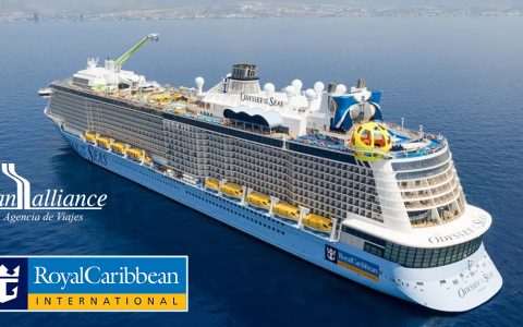 Hablemos sobre Cruceros